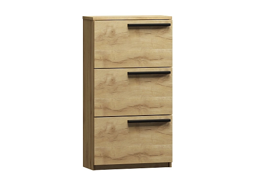 Обувница Лорена Пакс-3 Дуб Золотистый - фото 2