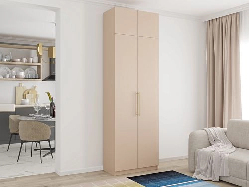 Шкаф распашной Калифорния-2 с антресолью Сатин - фото 1