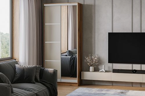 Шкаф-купе Борнео-2.4 Дуб Делано/Серебро - фото 1