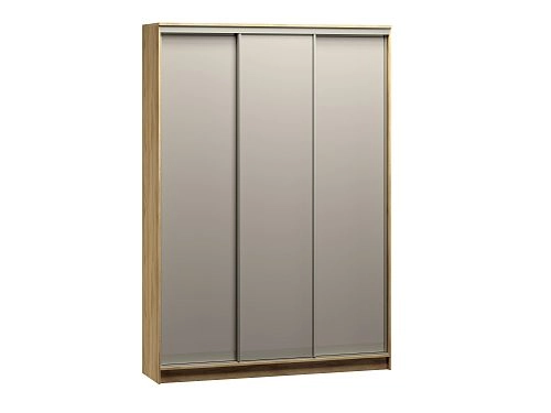Шкаф-купе Борнео-3.1 Дуб Золотистый - фото 2