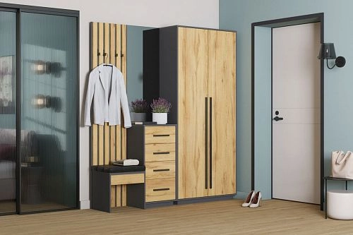 Прихожая Неаполь-2 Графит - фото 1