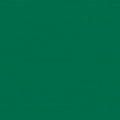 Лесной зелёный (613)