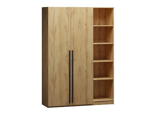 Шкаф распашной Лорена Пакс-2.1 Дуб Золотистый - фото 2