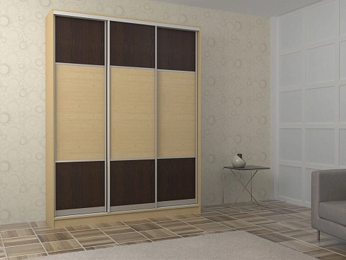 Шкаф-купе Адриано-3.1 - фото 1