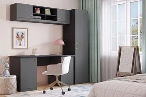 детская Стрекоза-10 Графит