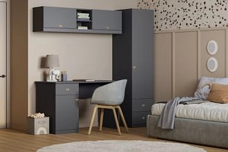 детская Стрекоза-12 Графит