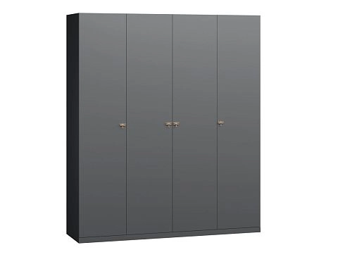 Шкаф распашной Стрекоза-4 Графит - фото 4