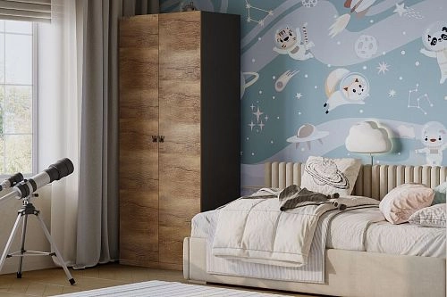 Шкаф распашной Банни-2 Дуб Мореный - фото 1