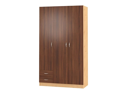 Шкаф распашной Рио-3.3 - фото 1
