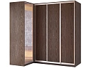 Шкаф-купе угловой Премьер-8