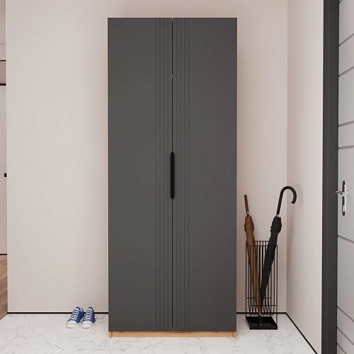 Шкаф распашной Астрис-1 Графит - фото 1