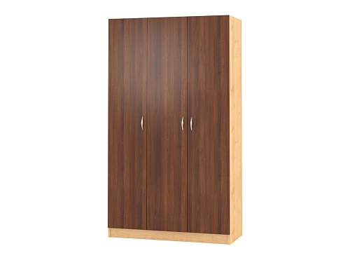 Шкаф распашной Рио-3.1 - фото 1
