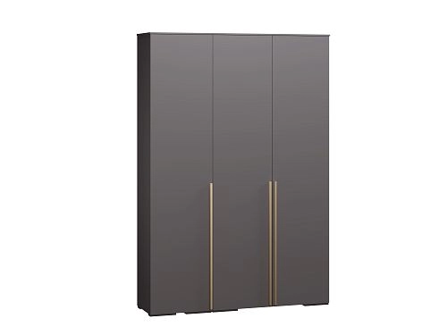 Шкаф распашной Эдинбург-3 Графит - фото 3