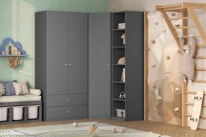 детская Стрекоза-5 Графит