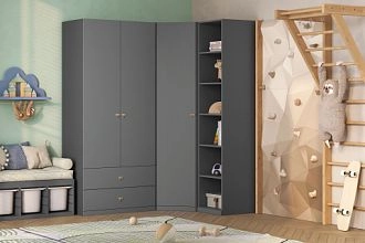 детская Стрекоза-5 Графит