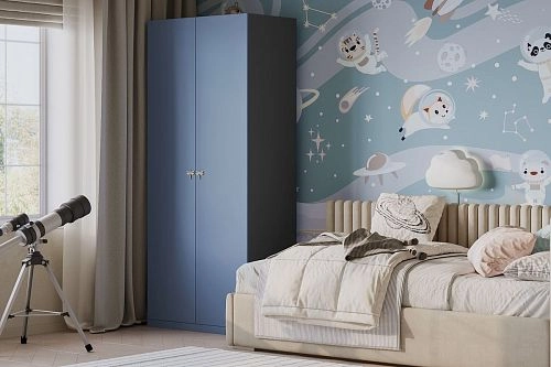 Шкаф распашной Стрекоза-2 Космея - фото 1