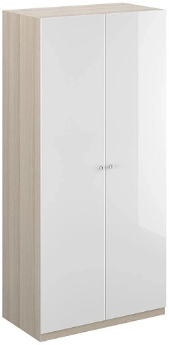 Шкаф распашной 2-дверный Леон МДФ глянец (260296/1) - фото 1