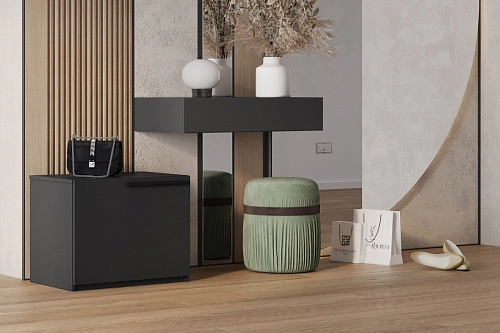 Обувница Лорена Пакс-1 Черный - фото 1