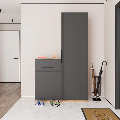 Прихожая Астрис-4 Графит - фото 1