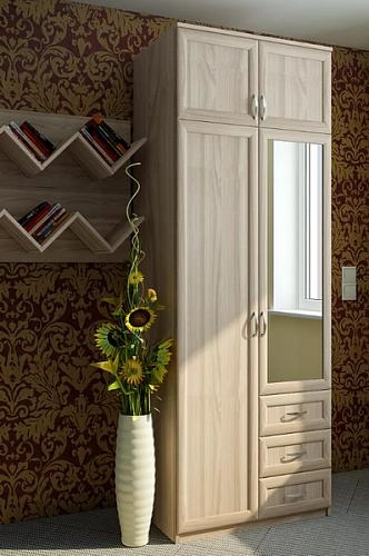 Шкаф распашной Лофт-5 - фото 1