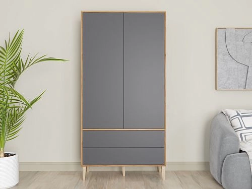 Шкаф распашной Скарлет-12 Графит - фото 1