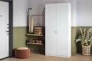 Шкаф распашной Лайт-2